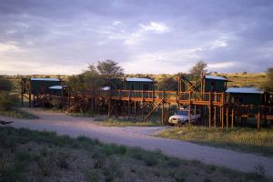 Kgalagadi Transfrontier Park