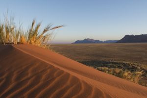 Namib Rand Nature Reserve