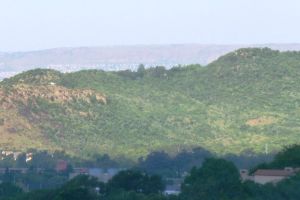 Faerie Glen Nature Reserve