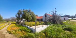 Grootvalleij Farm - Gideon