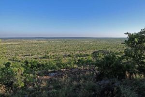 Botsalano Game Reserve