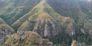 Injisuthi Nature Reserve