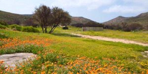 Modderfontein Farm Campsite