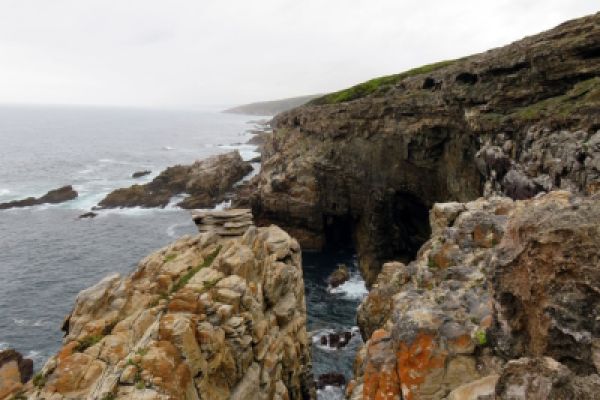 The Whale Trail