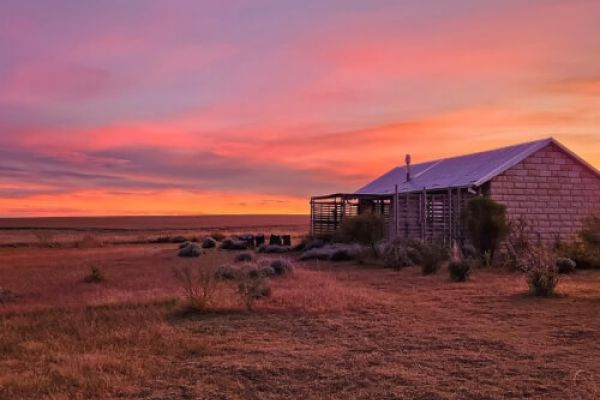Imla Guest Farm