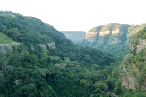 Krantzkloof Nature Reserve