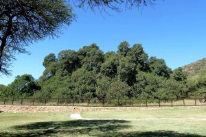 Wonderboom Nature Reserve