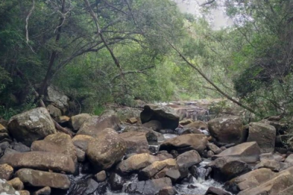 Oom Paul Hiking Trail