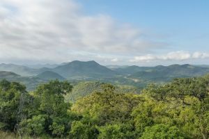 Barberton Nature Reserve