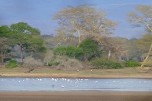 Ndumo Game Reserve