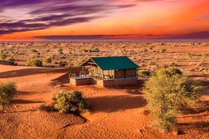 Bagatelle Kalahari Game Ranch