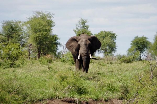 Mathikithi Wilderness Trail