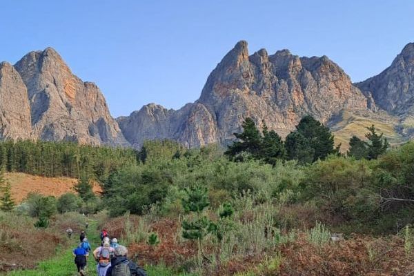 Tulbagh Disa Trail