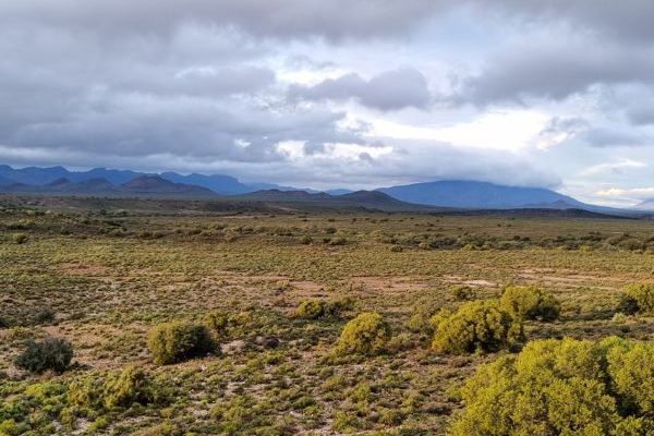 Montagu Camino