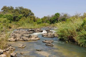 Popa Falls Game Park