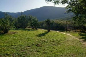 Groendal Nature Reserve