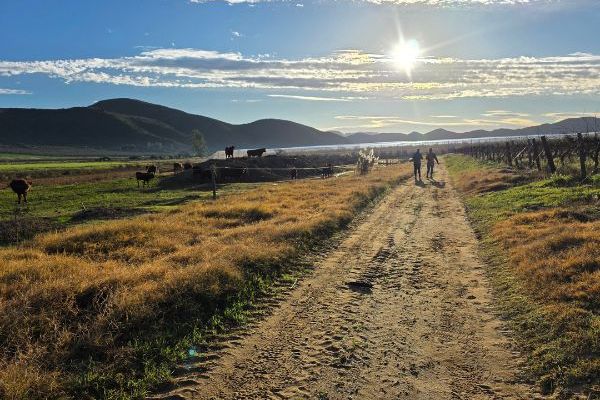 Fossil Hills Wine Walk