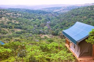 Inkwenkwezi Private Game Reserve