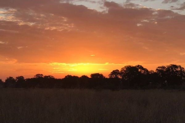 Mathikithi Wilderness Trail