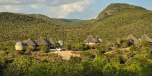 SANParks Addo Nyathi Rest Camp