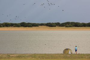Bloemhof Dam Nature Reserve