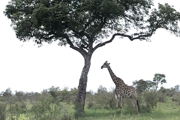 Mathikithi Wilderness Trail