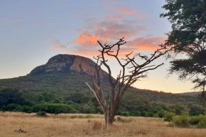 Western Soutpansberg Nature Reserve