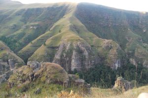 Injisuthi Nature Reserve