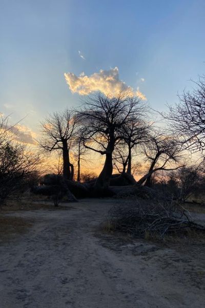 Nyae Nyae Bushman Hiking Safari