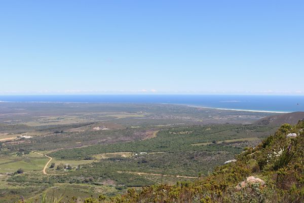 The Fynbos Trail