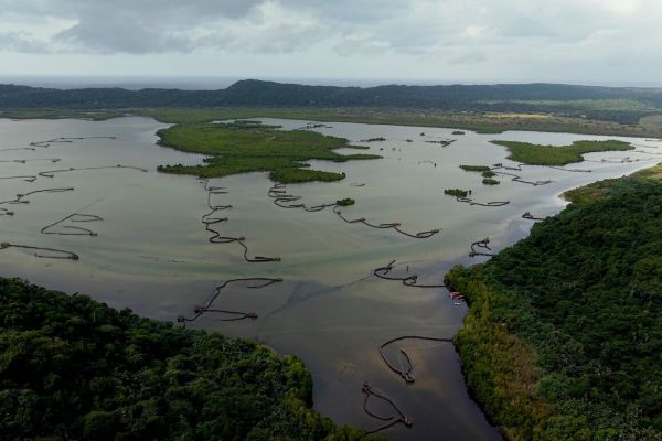 Traditional fish traps