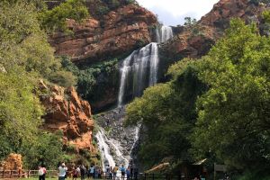 Walter Sisulu National Botanical Garden