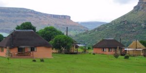 Camelroc Guest Farm