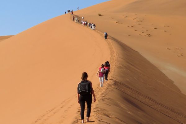 Big Daddy Dune