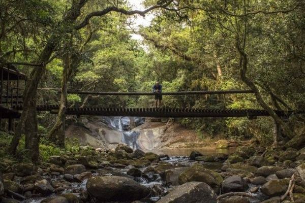 Magoebaskloof Hiking Trail