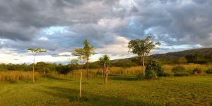 Bly-'n-Bietjie Self-catering Units