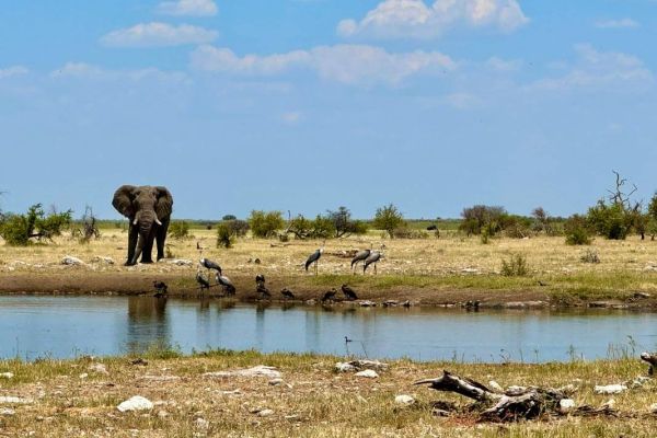 Nyae Nyae Bushman Hiking Safari