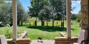 Vlakbult Guest Farm