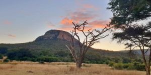 Western Soutpansberg Nature Reserve
