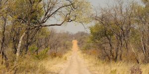 Mangetti National Park