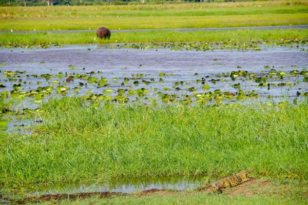 Bwabwata National Park