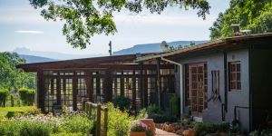 Molweni Kamberg Valley BnB