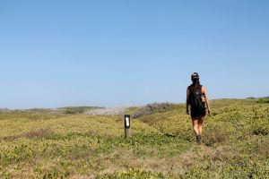 Agulhas National Park