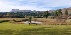 Treadridge Self Catering Cottage
