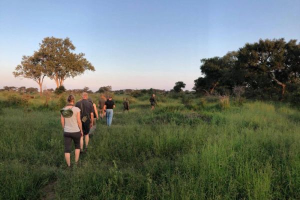 Mathikithi Wilderness Trail