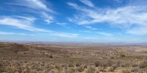 Bloemhof Karoo