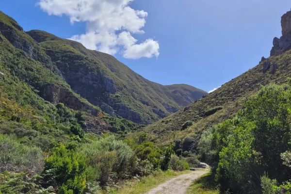 Fernkloof Nature Reserve