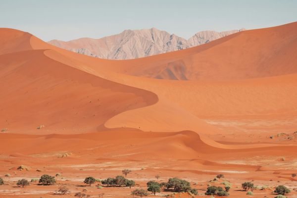 Big Daddy Dune