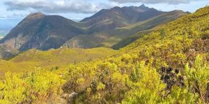Marloth Nature Reserve