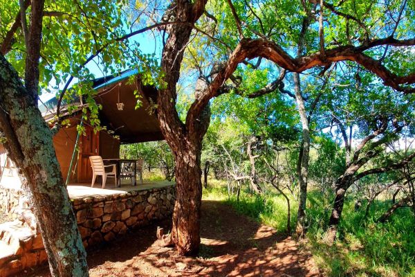 Thwane Bush Camp